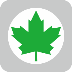 Naklejka ZIELONY LISTEK (kpl. 2 szt)